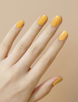 No.1: Cheese Yellow Solid